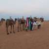 23 12 groep 1 en camels 23 12 groep 1 en camels